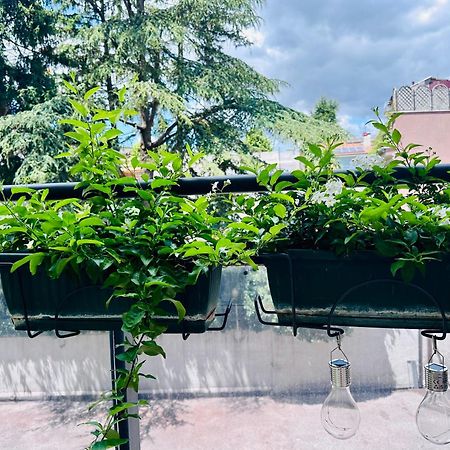 M Boutique Suite Avezzano Bagian luar foto